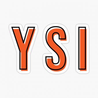 Youth and social innovation logo